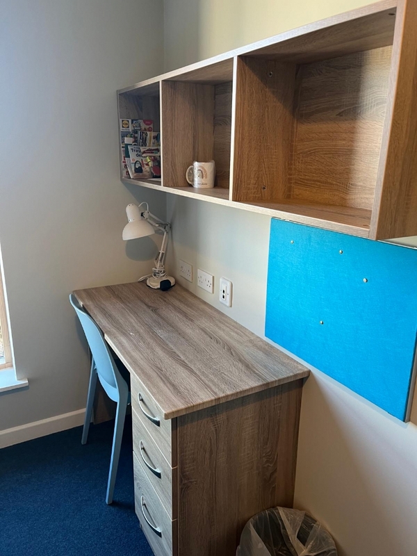 MARINO INSTITUTE OF EDUCATION  - DUBLINO